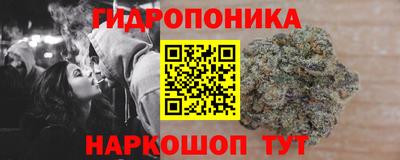 метадон Новодвинск