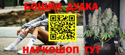 метадон Новодвинск