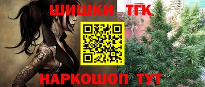 наркотики Новозыбков