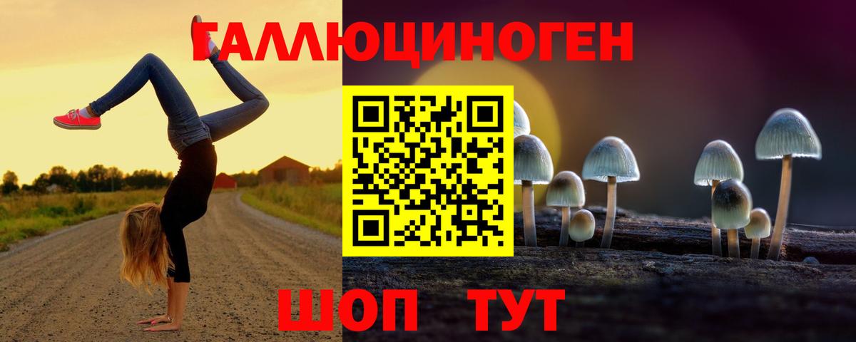 Дмитров  Галлюциногенные грибы Psilocybe  Вход с VPN 